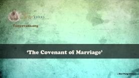 Dr-Tony-Evans-Divorce-and-Remarriage-The-Covenant-of-Marriage-attachment