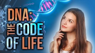 DNA-The-Code-of-Life-David-Rives-attachment