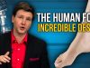 The-Human-Foot-Incredible-Design-David-Rives-attachment