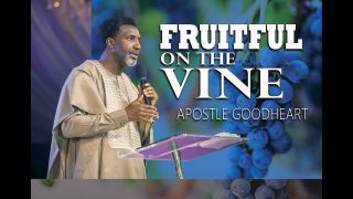 FRUITFUL-ON-THE-VINE-Apostle-Goodheart-Obi-Ekwueme-Rhogic-Service-Experience-attachment