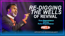 RE-DIGGING-THE-WELLS-OF-REVIVAL-PART-5-Apostle-Goodheart-O.-Ekwueme-attachment